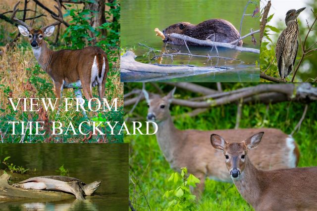 981 Parker Drive, Coppell, TX 75019