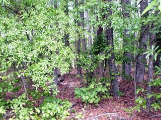 00 Bunn Elementary School Road, Bunn, NC 27508