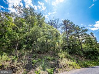 LOT 8 STAR TANNERY RD, Star Tannery, VA 22654