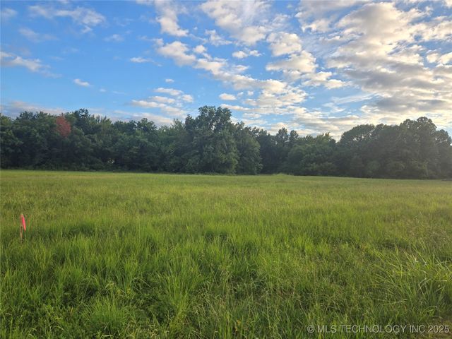 Peach, Locust Grove, OK 74352