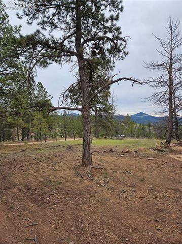 208 Eaglecrest Drive, Florissant, CO 80816