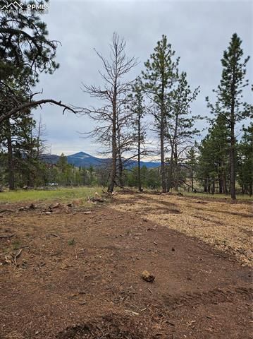 208 Eaglecrest Drive, Florissant, CO 80816