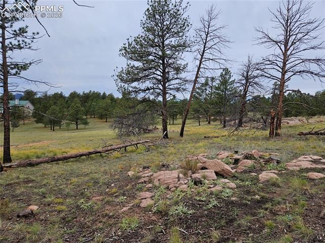 208 Eaglecrest Drive, Florissant, CO 80816