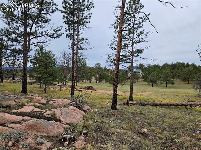 208 Eaglecrest Drive, Florissant, CO 80816