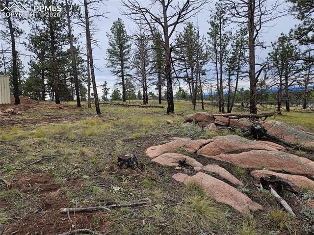 208 Eaglecrest Drive, Florissant, CO 80816