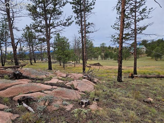 208 Eaglecrest Drive, Florissant, CO 80816