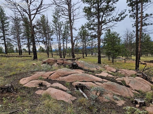 208 Eaglecrest Drive, Florissant, CO 80816