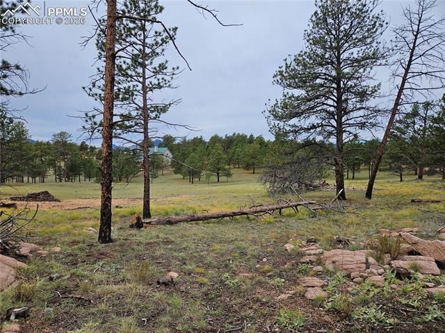 208 Eaglecrest Drive, Florissant, CO 80816
