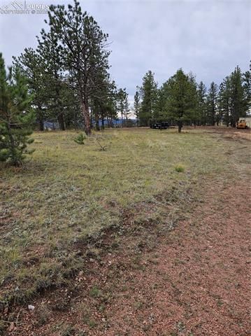 208 Eaglecrest Drive, Florissant, CO 80816