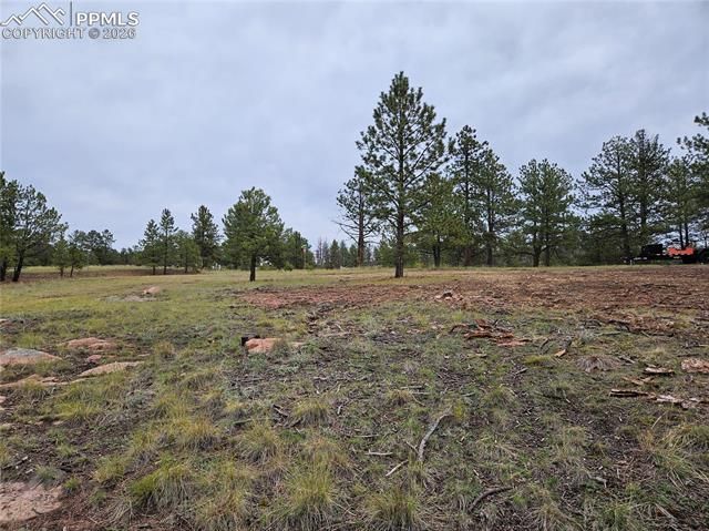 208 Eaglecrest Drive, Florissant, CO 80816