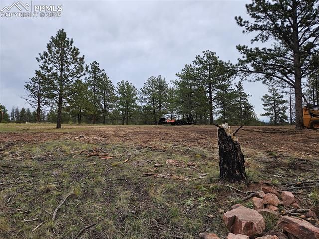 208 Eaglecrest Drive, Florissant, CO 80816
