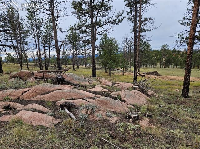 208 Eaglecrest Drive, Florissant, CO 80816