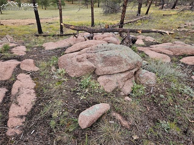 208 Eaglecrest Drive, Florissant, CO 80816