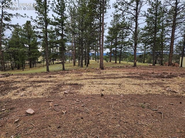208 Eaglecrest Drive, Florissant, CO 80816