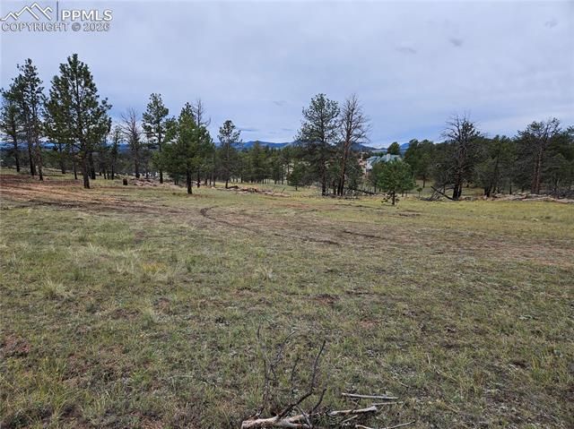 208 Eaglecrest Drive, Florissant, CO 80816