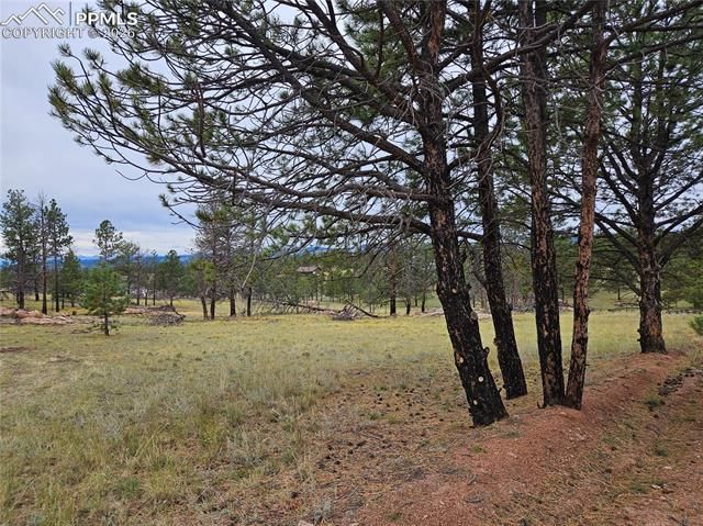 208 Eaglecrest Drive, Florissant, CO 80816