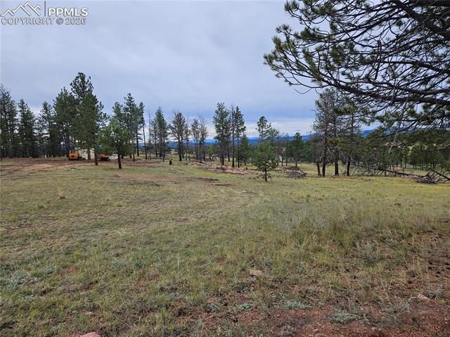 208 Eaglecrest Drive, Florissant, CO 80816