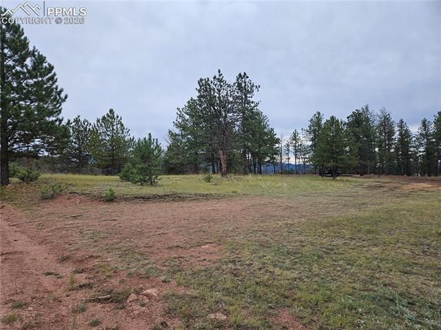 208 Eaglecrest Drive, Florissant, CO 80816