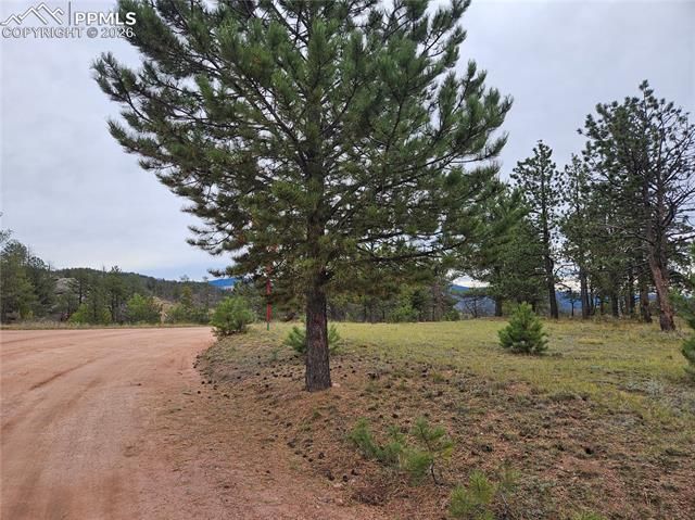 208 Eaglecrest Drive, Florissant, CO 80816