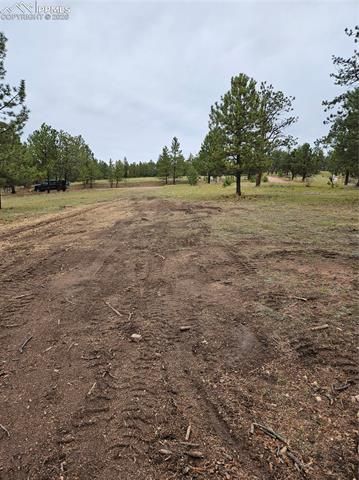 208 Eaglecrest Drive, Florissant, CO 80816