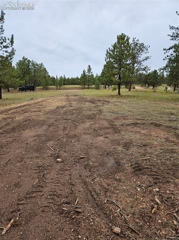 208 Eaglecrest Drive, Florissant, CO 80816
