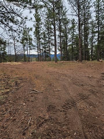 208 Eaglecrest Drive, Florissant, CO 80816