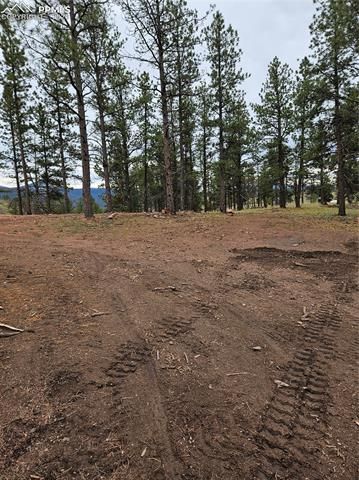 208 Eaglecrest Drive, Florissant, CO 80816