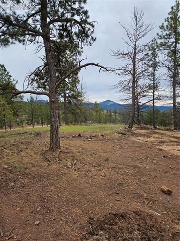 208 Eaglecrest Drive, Florissant, CO 80816