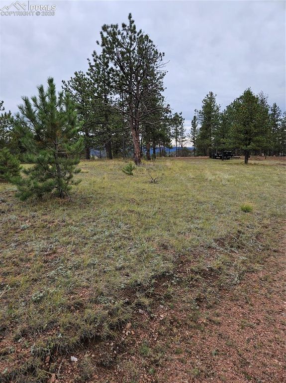 208 Eaglecrest Drive, Florissant, CO 80816