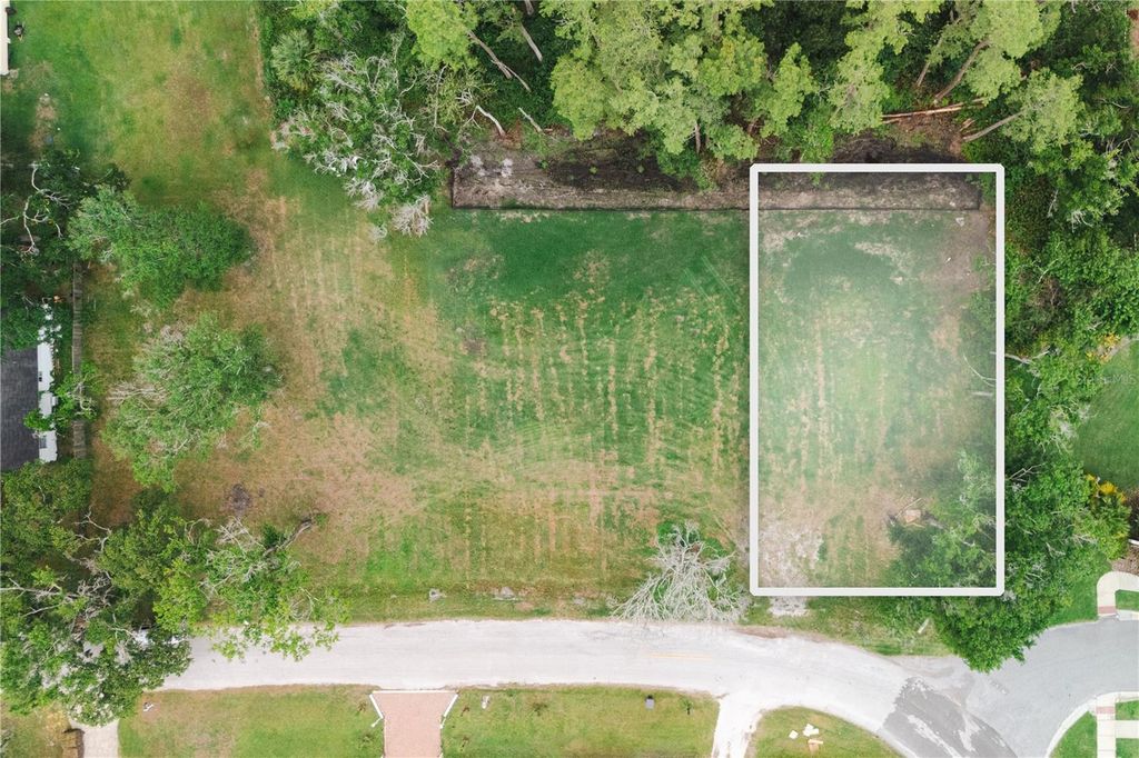 7301 AVONWOOD STREET, Tampa, FL 33625