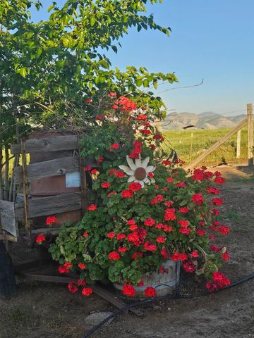 1969 Pederson Avenue, Sanger, CA 93657