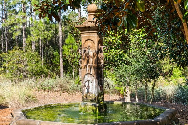 237 Splash Drive, Inlet Beach, FL 32461