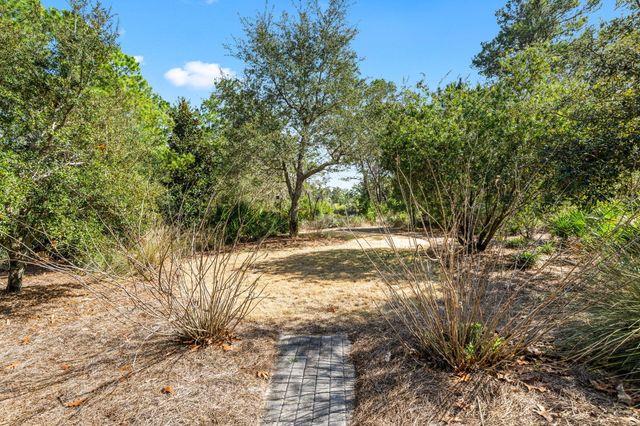 237 Splash Drive, Inlet Beach, FL 32461