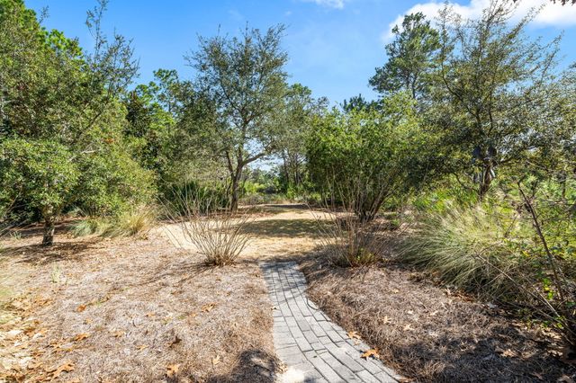 237 Splash Drive, Inlet Beach, FL 32461