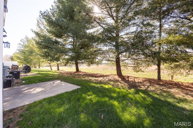 2058 Celebration Park Circle, Belleville, IL 62220