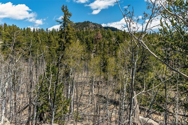 360 Musket Lane, Como, CO 80432
