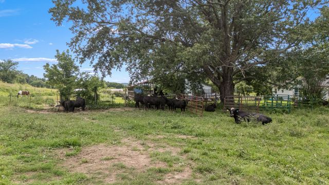 1783 Brown Shop Rd, Petersburg, TN 37144