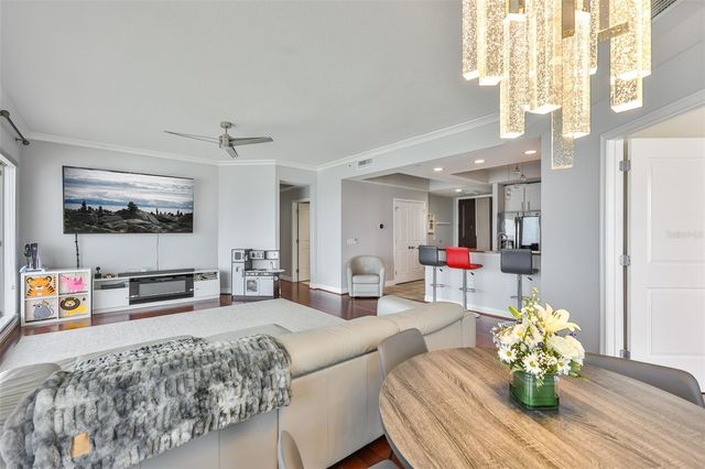 1209 E CUMBERLAND AVENUE 2404, Tampa, FL 33602