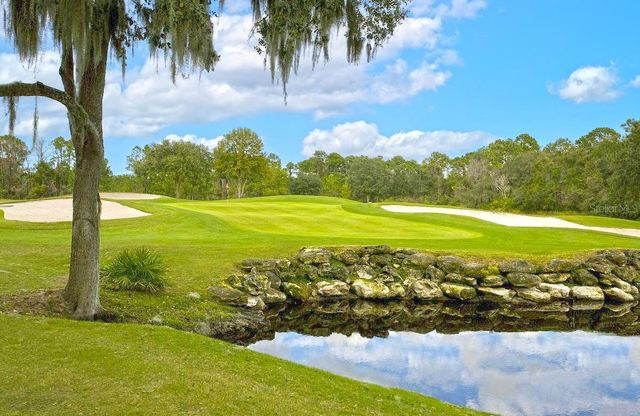 103 CAMINO REAL BOULEVARD, Howey In The Hills, FL 34737