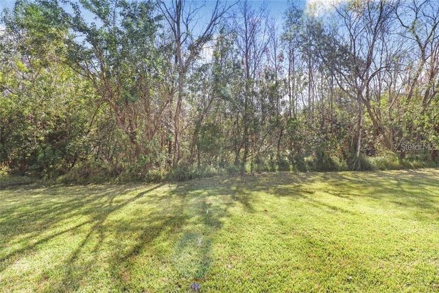 11251 WINDSOR PLACE CIRCLE, Tampa, FL 33626