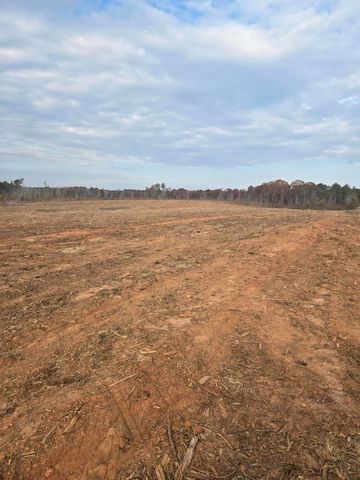 0 Elberton Highway, Lincolnton, GA 30817