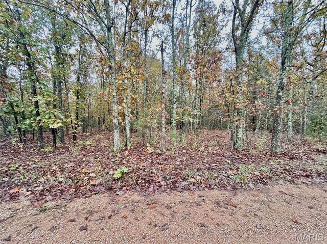 TBD Tract 4 County Road 4215, Salem, MO 65560