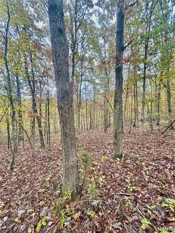 TBD Tract 4 County Road 4215, Salem, MO 65560