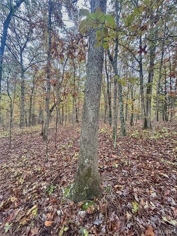 TBD Tract 4 County Road 4215, Salem, MO 65560