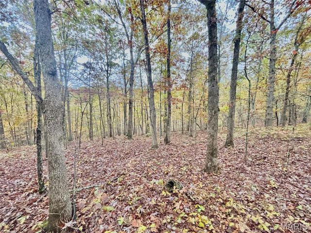 TBD Tract 4 County Road 4215, Salem, MO 65560