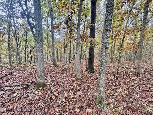 TBD Tract 4 County Road 4215, Salem, MO 65560