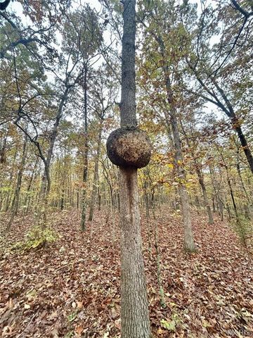 TBD Tract 4 County Road 4215, Salem, MO 65560