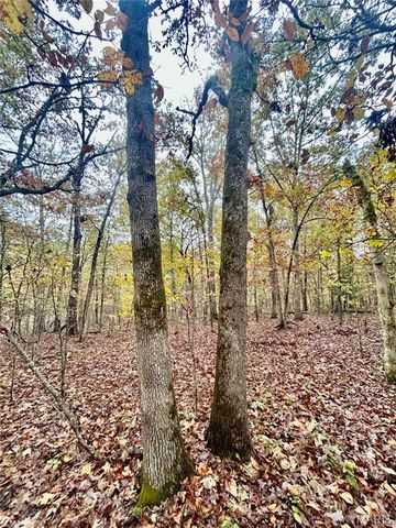 TBD Tract 4 County Road 4215, Salem, MO 65560