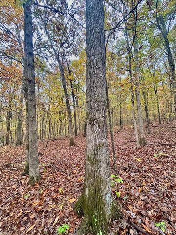 TBD Tract 4 County Road 4215, Salem, MO 65560