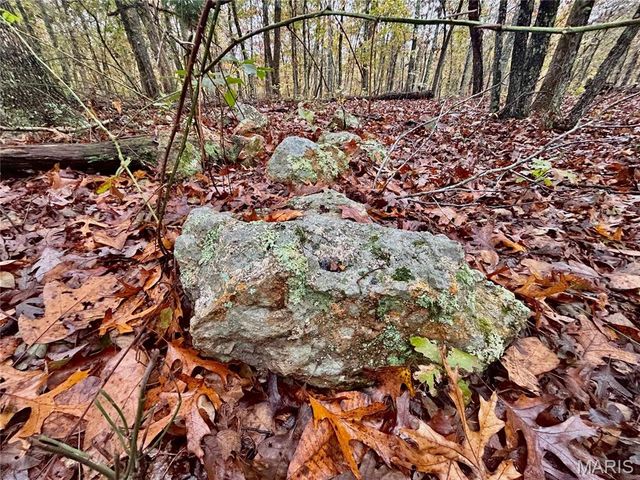 TBD Tract 4 County Road 4215, Salem, MO 65560